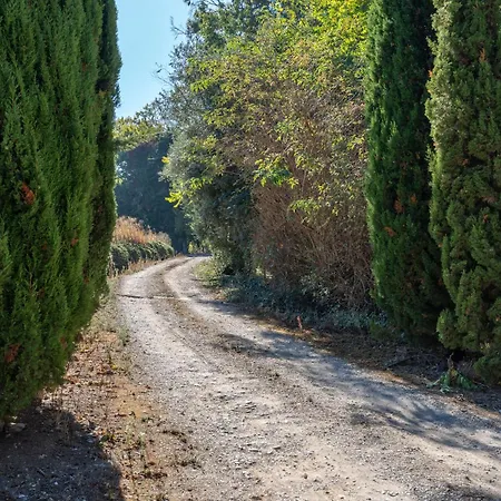 Cazal D'oliveira * Granja